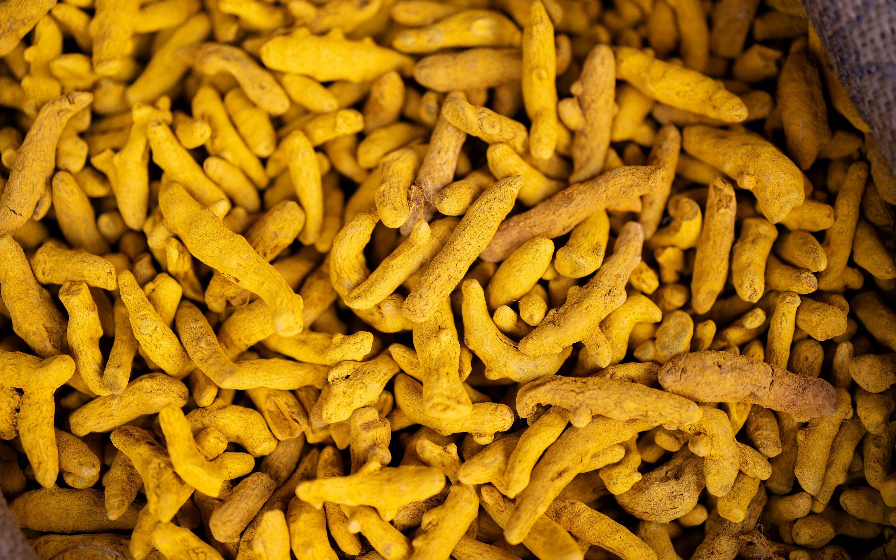 Turmeric Organic