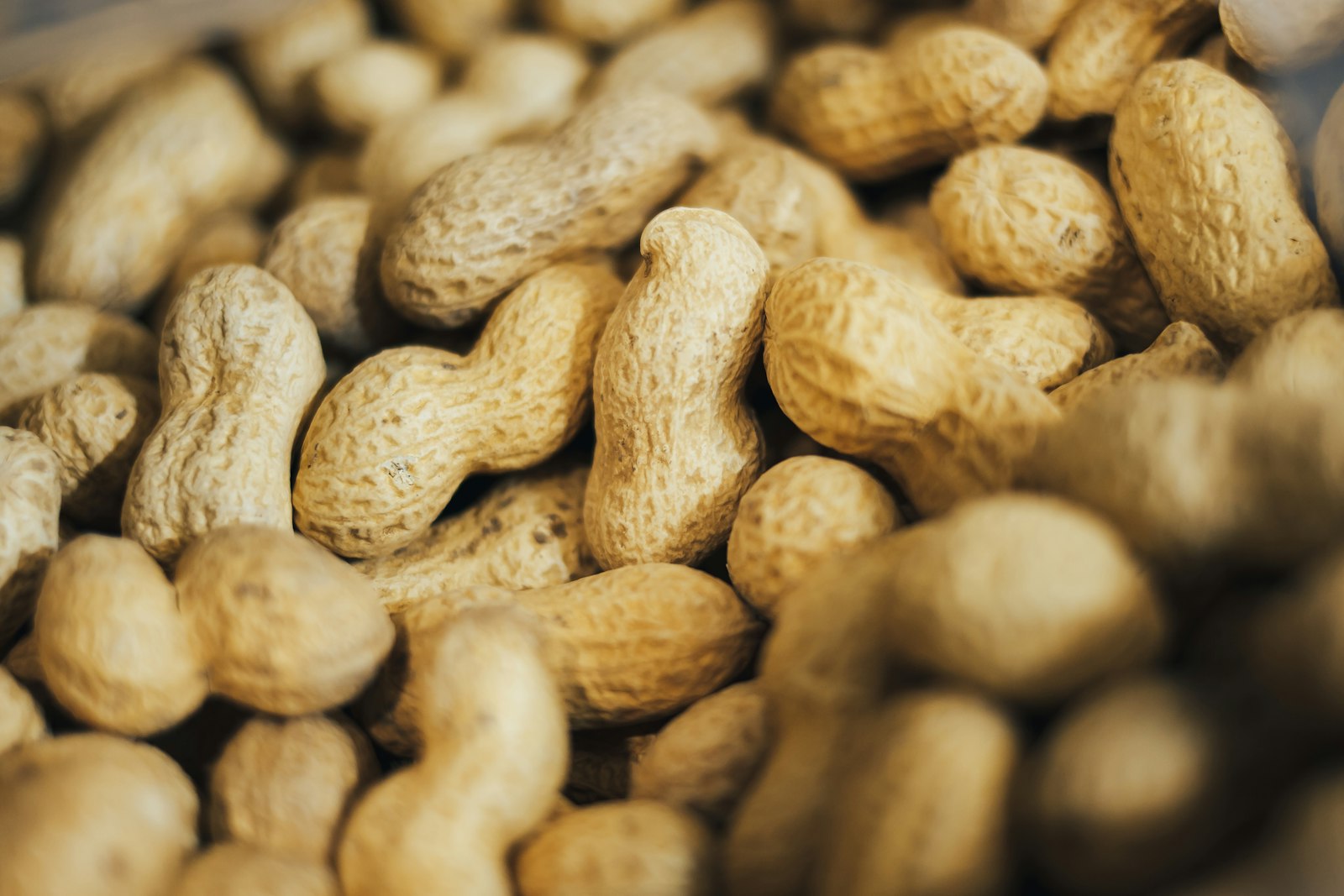 Raw Peanut Kernel Split